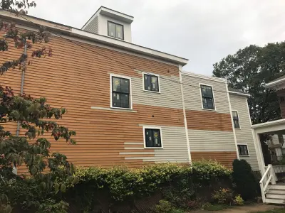 Golden ochre wood clapboard siding with black windows in Boston, MA - photo 13
